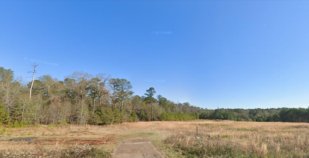 00 US 280 Hwy, Americus, GA à vendre Photo principale– Image 1 sur 2