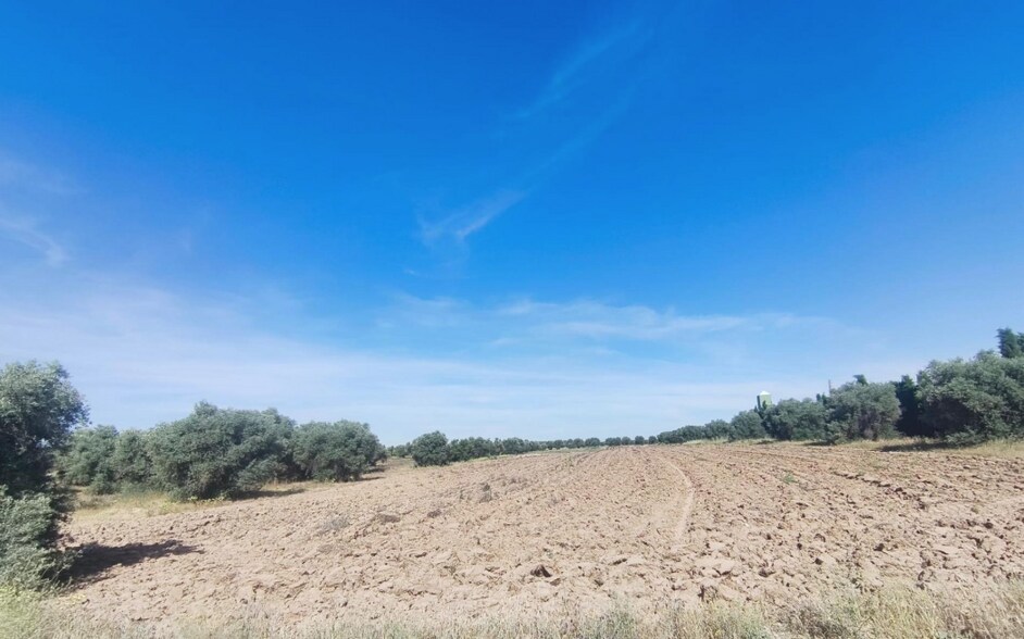 Terrain dans Illescas, Toledo à vendre - Autre – Image 1 sur 3
