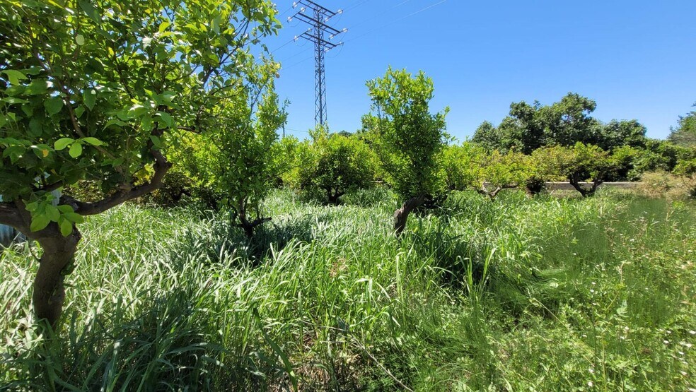 Vereda del Rincón del Gallego, S/N, Murcia, Murcia à vendre - Photo de l’immeuble – Image 3 sur 17