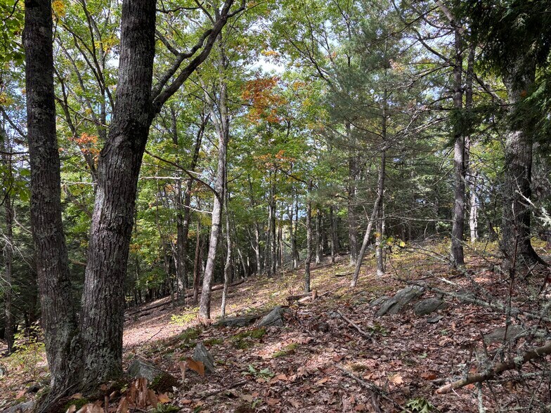 00 Quarry Rd, Chester, VT à vendre - Photo de l’immeuble – Image 3 sur 10