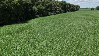 Plus de détails pour ASHFORD Rd, Mount Vernon, IN - Terrain à vendre