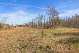 Plus de détails pour 215 Jimmy DeLoach Pky, Savannah, GA - Terrain à vendre