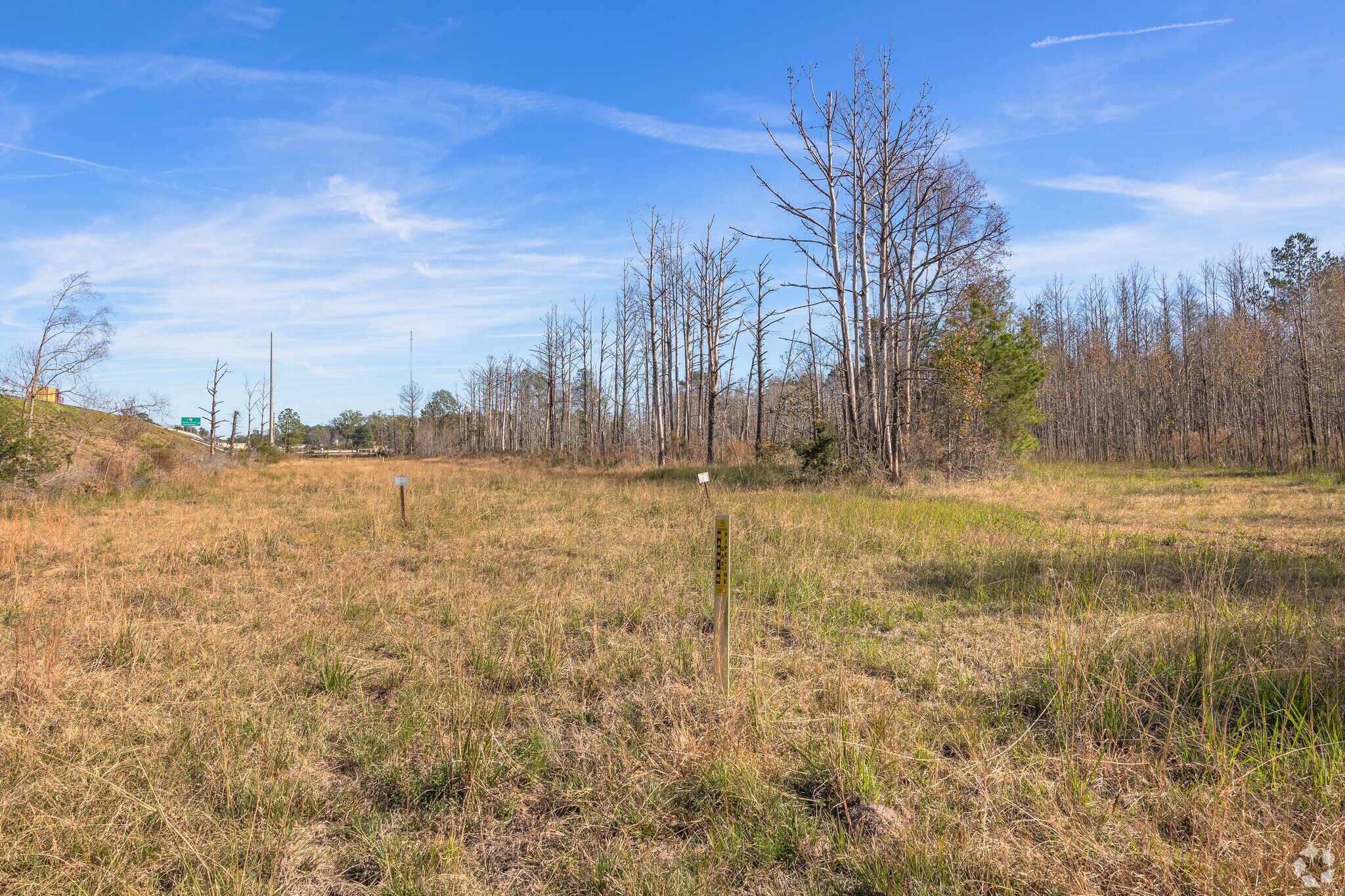 215 Jimmy DeLoach Pky, Savannah, GA à vendre Photo de l’immeuble– Image 1 sur 12