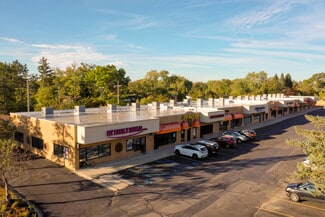 Plus de détails pour 24033-24099 Meadowbrook Rd, Novi, MI - Local commercial à louer