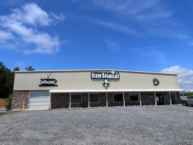 409 Highway 64, Ocoee, TN à vendre - Photo de l’immeuble – Image 1 sur 42