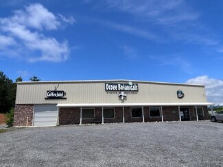 Plus de détails pour 409 Highway 64, Ocoee, TN - Local d’activités à vendre