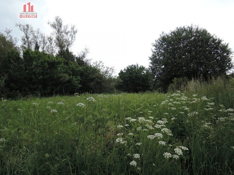 Terrain dans Amoeiro, Orense à vendre - Photo principale – Image 2 sur 6