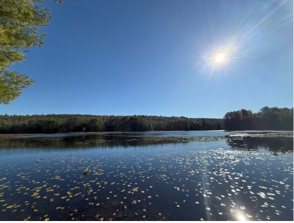 55 Steges Rd, Eldred, NY à vendre - Photo de l’immeuble – Image 2 sur 57