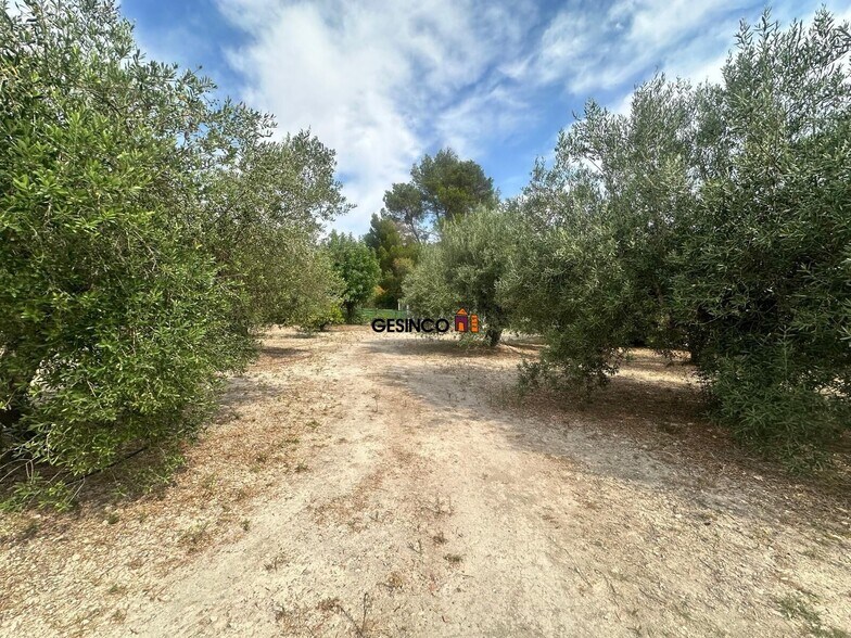 Terrain dans Xàtiva, Valencia à vendre - Photo de l’immeuble – Image 2 sur 10
