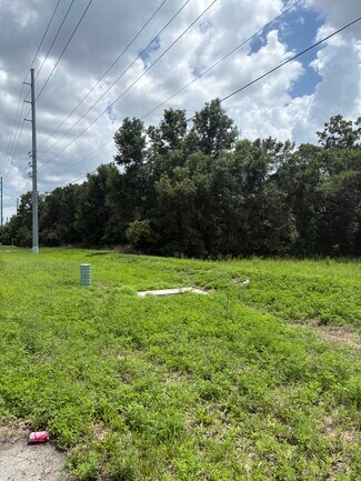 Plus de détails pour 4909 Paul Buchman Hwy, Plant City, FL - Terrain à louer