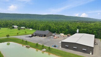 Plus de détails pour 1655 Mountain Rd, Newburg, PA - Industriel/Logistique à vendre