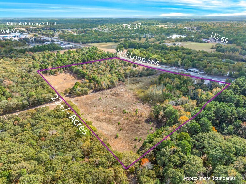 700 NW Loop 564, Mineola, TX à vendre - Photo de l’immeuble – Image 1 sur 46