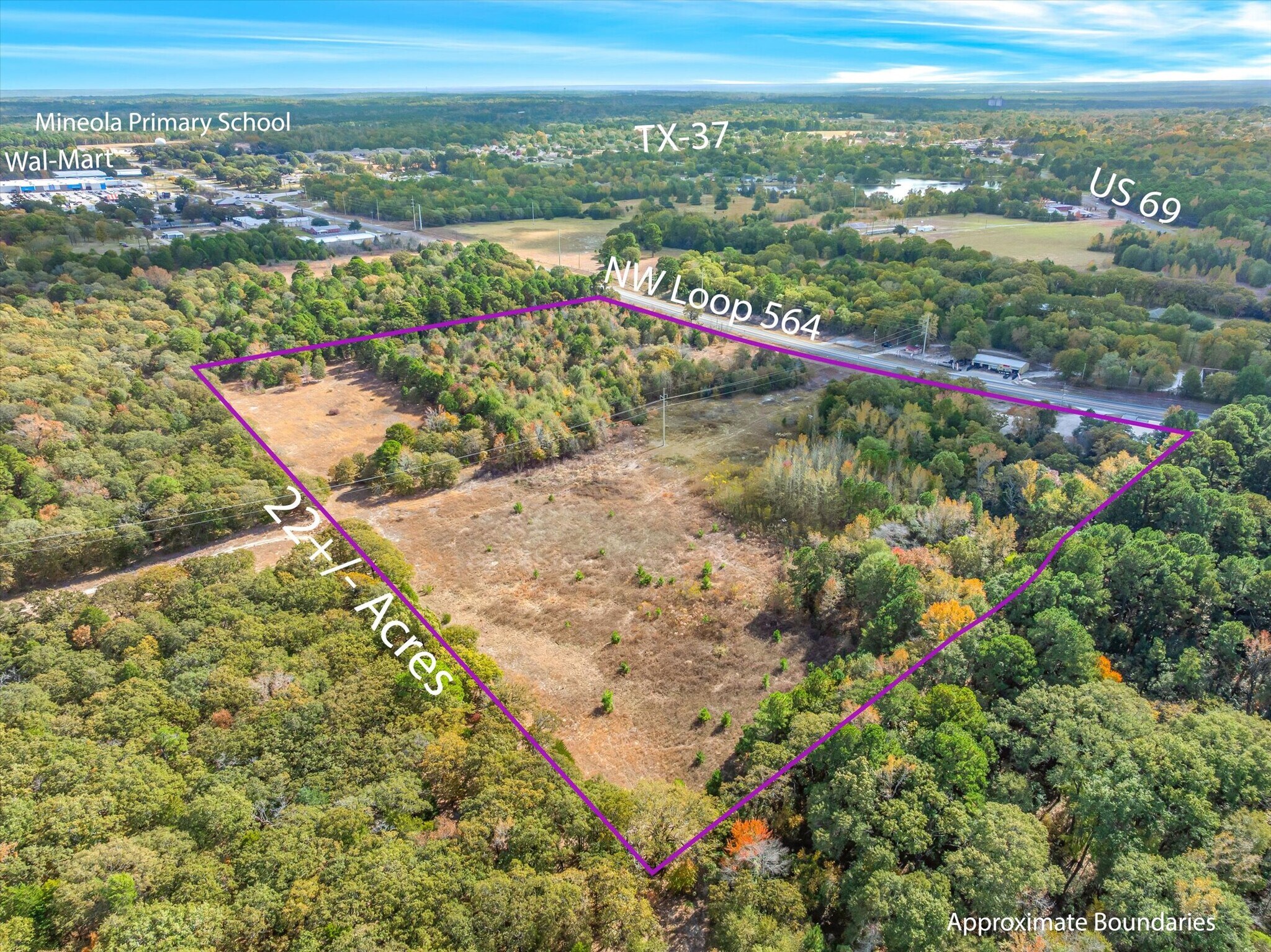 700 NW Loop 564, Mineola, TX à vendre Photo de l’immeuble– Image 1 sur 47