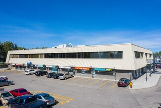 Plus de détails pour 755 Lake Bonavista Dr SE, Calgary, AB - Local commercial à louer