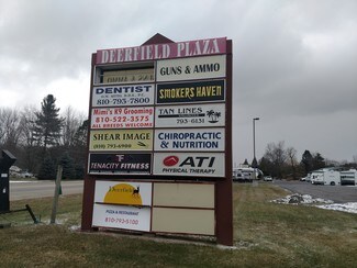 Plus de détails pour 5836 N Lapeer Rd, North Branch, MI - Médical à louer