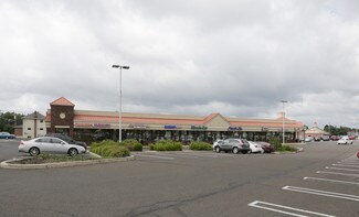 Plus de détails pour W Germantown Pike, East Norriton Township, PA - Local d'activités à louer