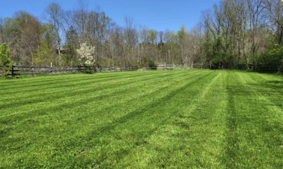 17500 East River Rd, Columbia Station, OH à vendre - Photo de l’immeuble – Image 3 sur 5