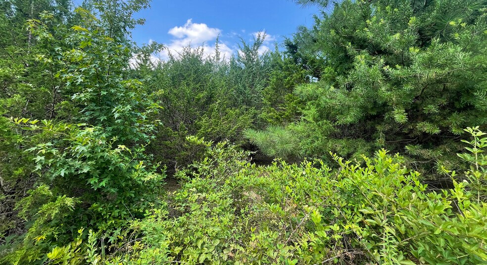 6726 Courthouse Rd, Spotsylvania, VA à vendre - Photo de l’immeuble – Image 2 sur 4