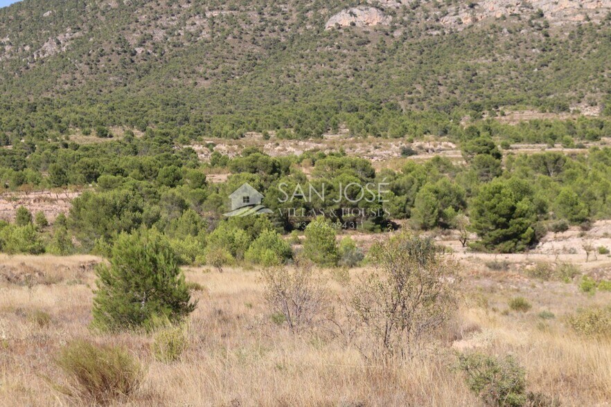 Terrain dans MONÒVER, Alicante à vendre - Photo principale – Image 3 sur 17
