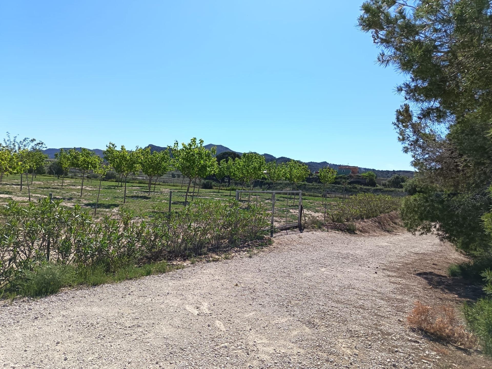 Terrain dans Monforte del Cid, Alicante à vendre Plan de site– Image 1 sur 6