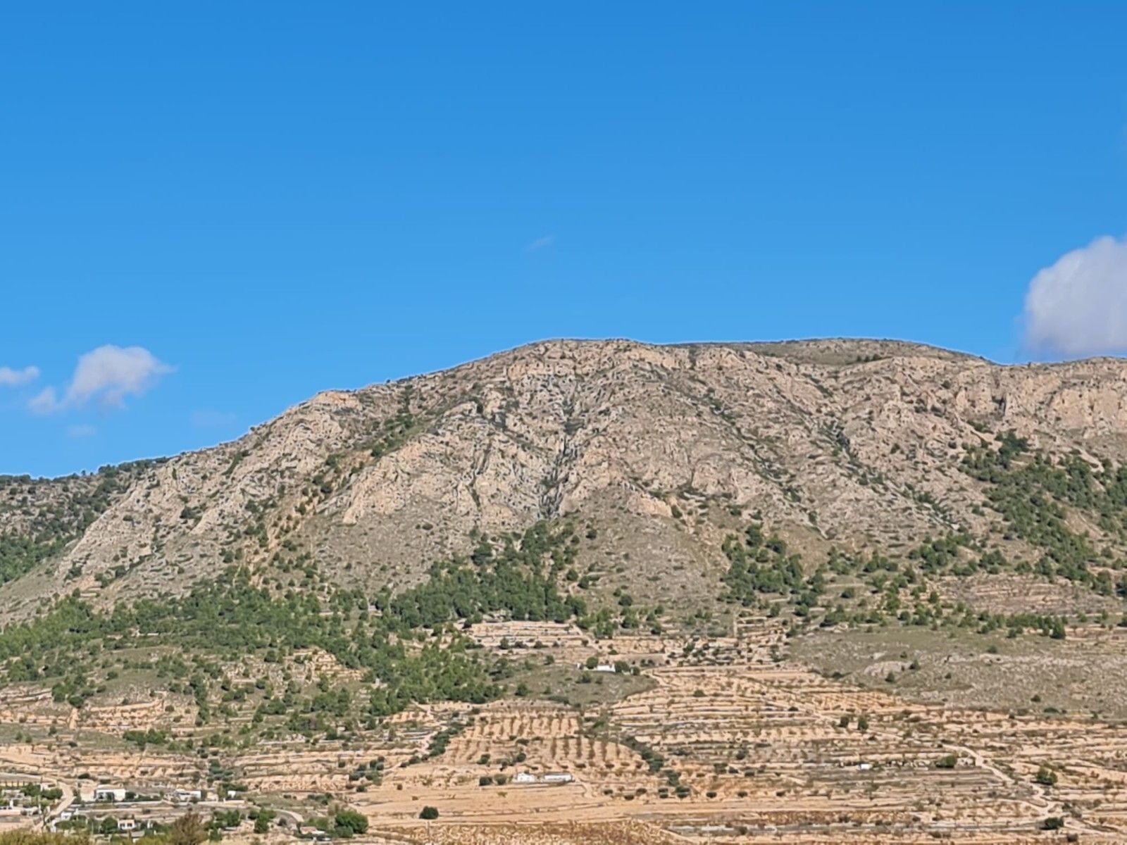 Terrain dans La Romana, Alicante à vendre Aérien– Image 1 sur 16