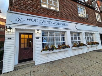 Plus de détails pour 111-113 S Tyson Ave, Floral Park, NY - Bureau à louer