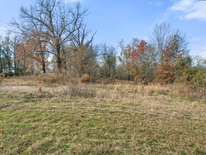 1868 (TBD) US 259 S Hwy, Diana, TX à vendre - Autre – Image 3 sur 9