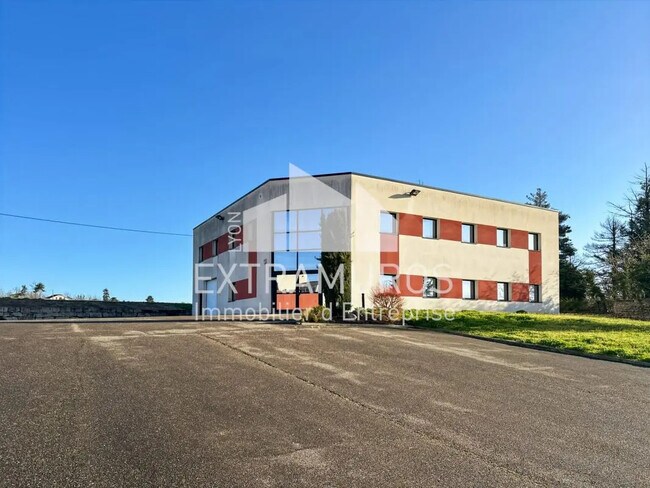 Plus de détails pour 3 Chemin Du Seibel, Vaugneray - Local d’activités à vendre