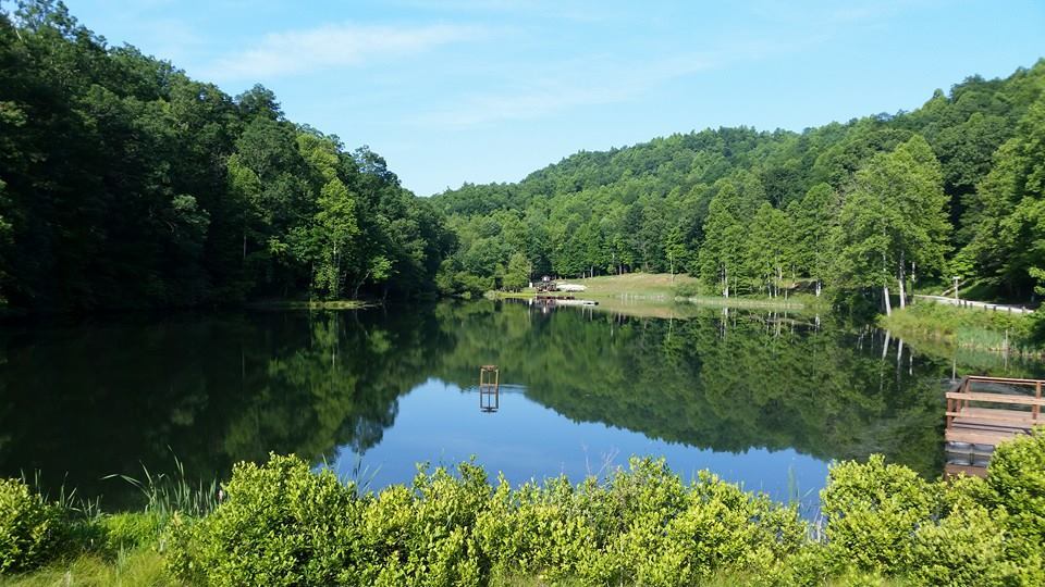 805 Scout Camp Rd, Saluda, NC à vendre - Photo de l’immeuble – Image 2 sur 5