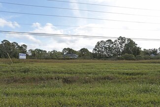 Plus de détails pour Us-17, Green Cove Springs, FL - Terrain à vendre