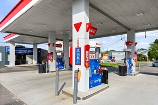 Plus de détails pour 33 Oak St E, Leamington, ON - Local commercial à vendre