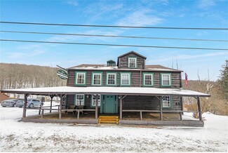 Plus de détails pour 540 State Route 42, Shandaken, NY - Hôtellerie à vendre