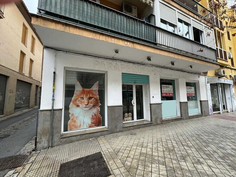 Local commercial dans Granada, Granada à louer - Photo de l’immeuble – Image 1 sur 12