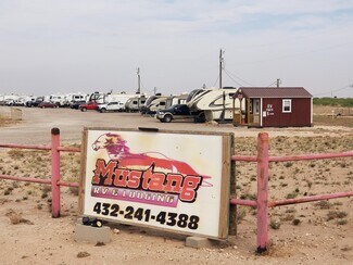 Plus de détails pour 2045 County Road C2801, Stanton, TX - Logement à vendre