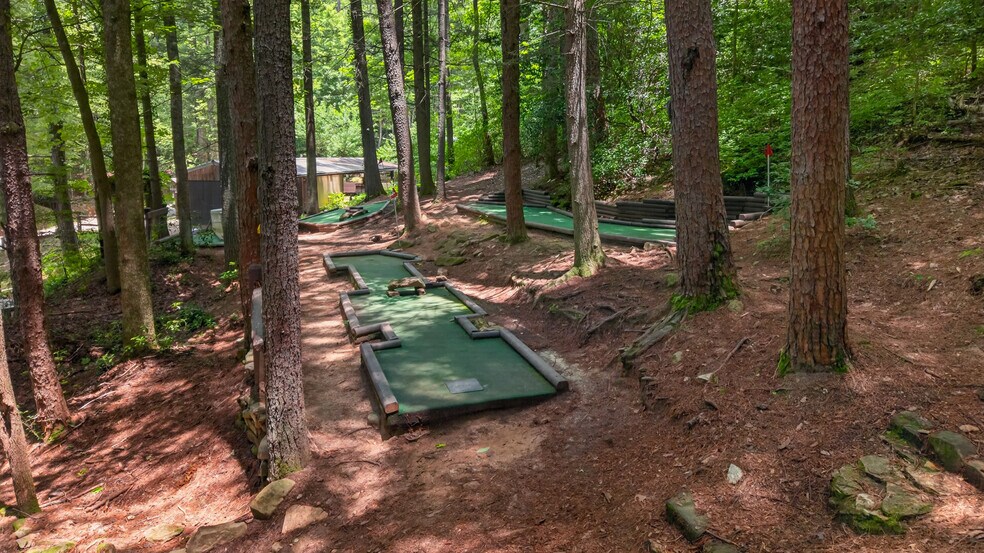 24 Adelaide Dr, Blue Ridge, GA à vendre - Autre – Image 3 sur 5