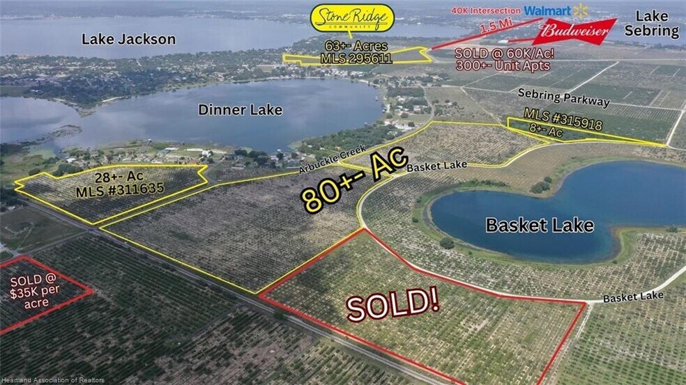 1115 Basket Lake Rd, Avon Park, FL à vendre - Photo de l’immeuble – Image 3 sur 26