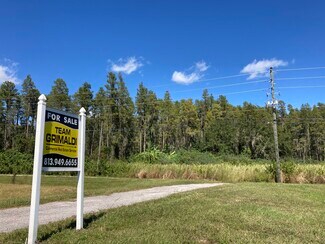 Plus de détails pour 20233 State Road 54, Lutz, FL - Terrain à vendre