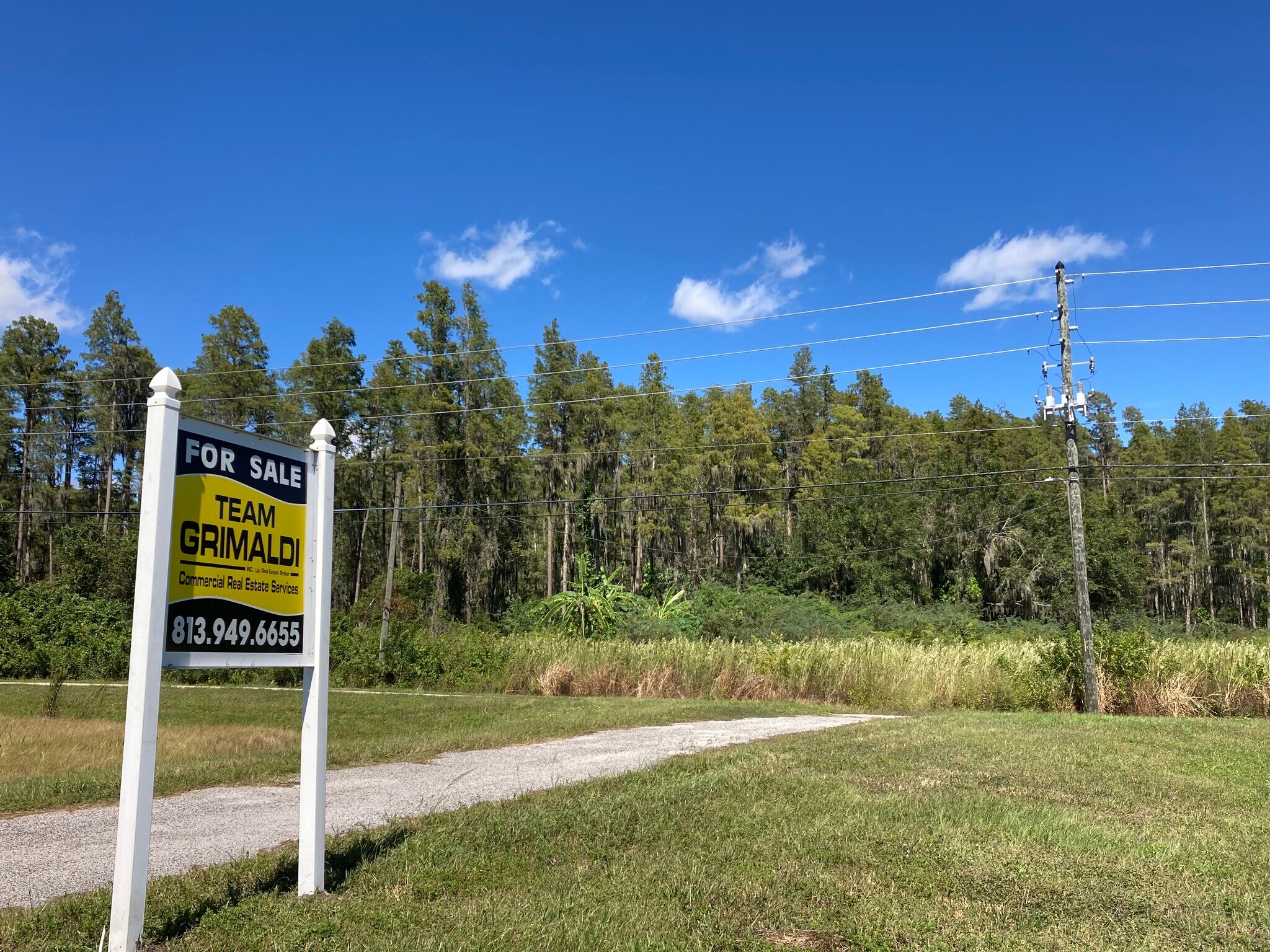 20233 State Road 54, Lutz, FL à vendre Photo de l’immeuble– Image 1 sur 8