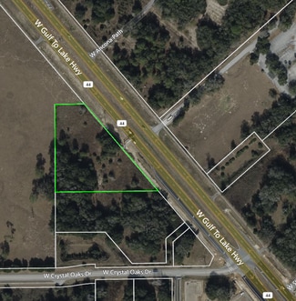 Plus de détails pour 4710 Gulf to Lake hwy, Lecanto, FL - Terrain à vendre