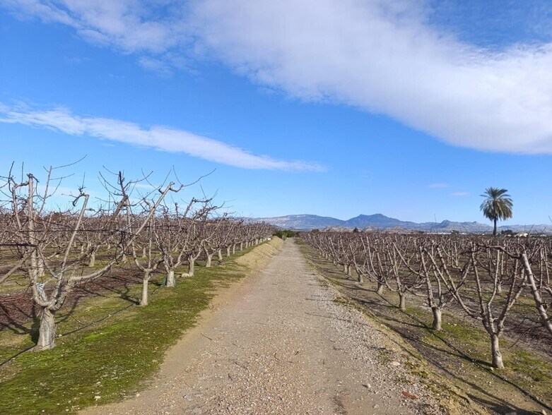 Terrain dans Ceutí, Murcia à vendre - Photo de l’immeuble – Image 3 sur 10
