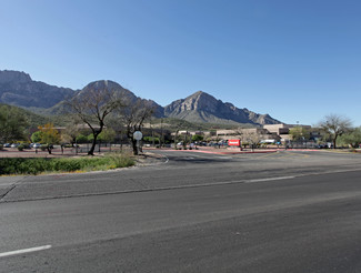 Plus de détails pour 11100 N Oracle Rd, Tucson, AZ - Bureau, Industriel/Logistique à louer