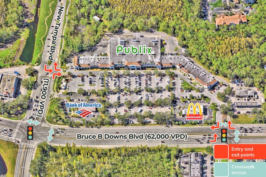 19002-19010 Bruce B Downs Blvd, Tampa, FL à louer - Aérien – Image 3 sur 7