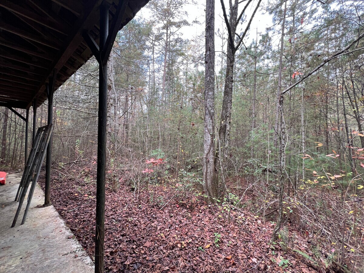 View Photo