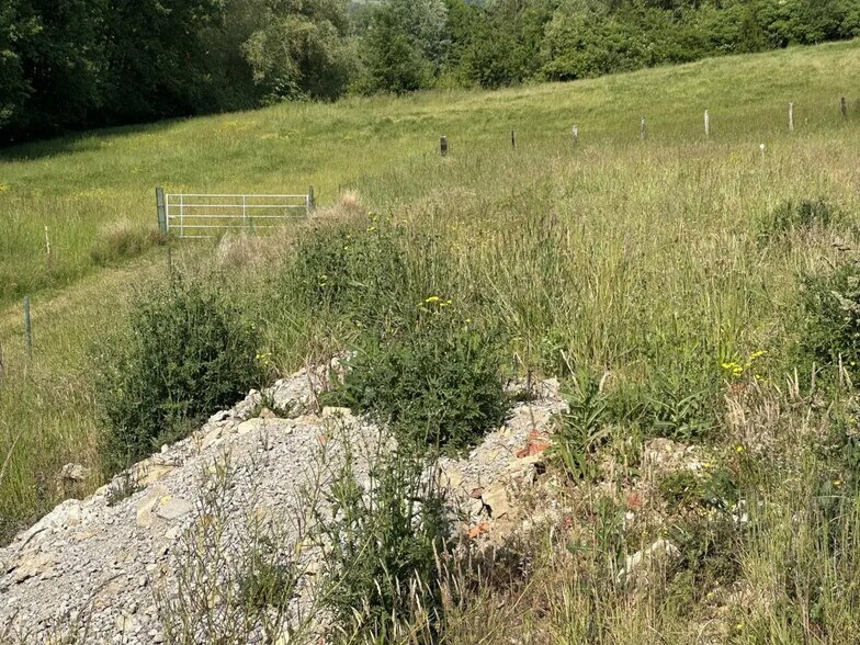 Terrain dans Maizeroy à vendre - Plan de site – Image 2 sur 4