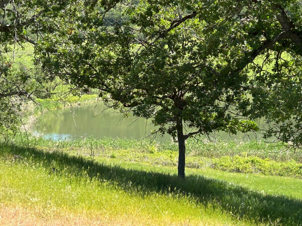 View Photo