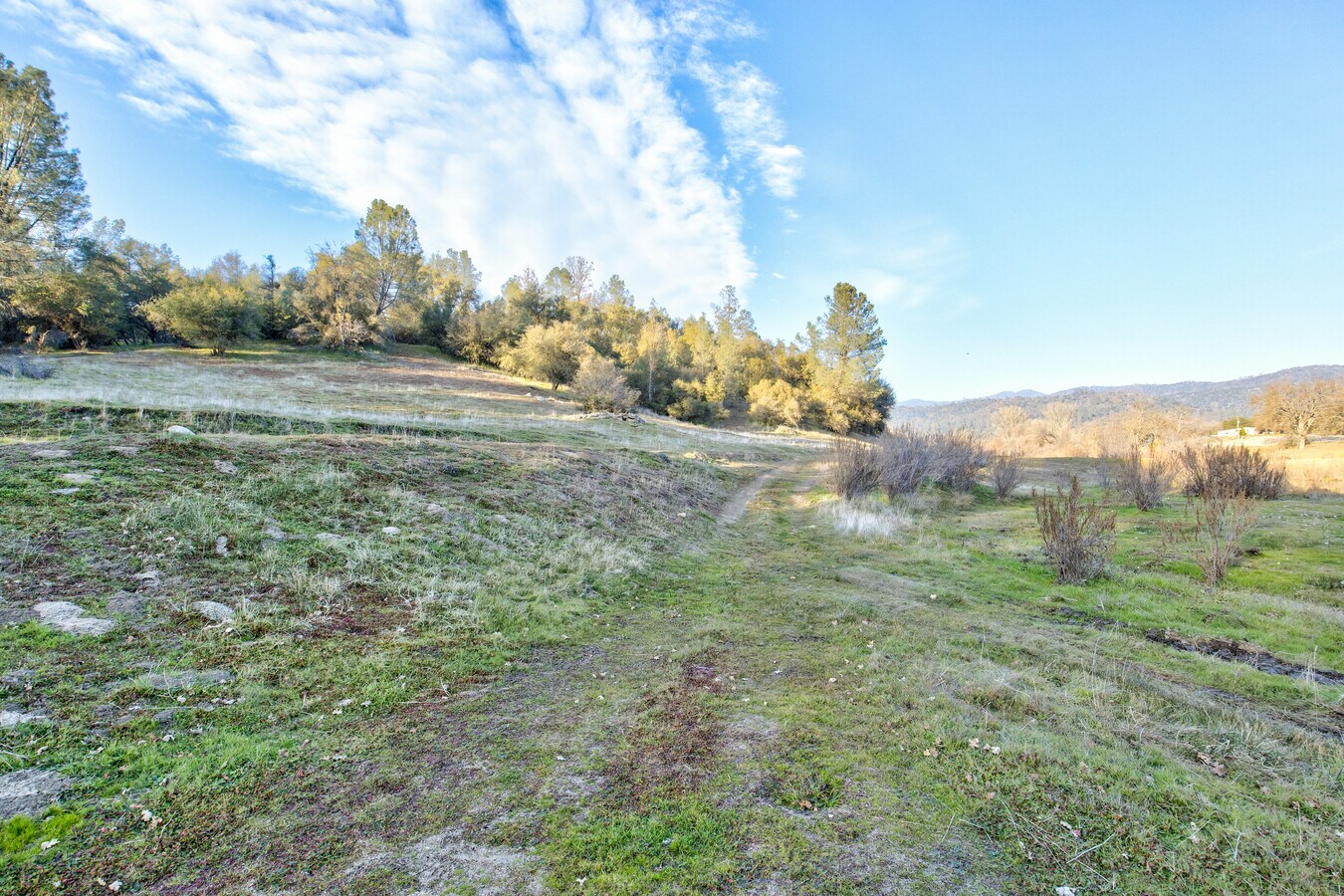 View Photo
