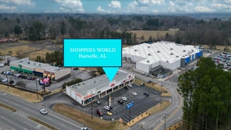 Plus de détails pour 1199 Highway 31 NW, Hartselle, AL - Local commercial à vendre