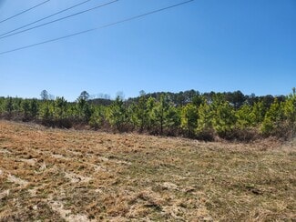 Plus de détails pour 3004 U.S. 401 Hwy, Louisburg, NC - Terrain à vendre