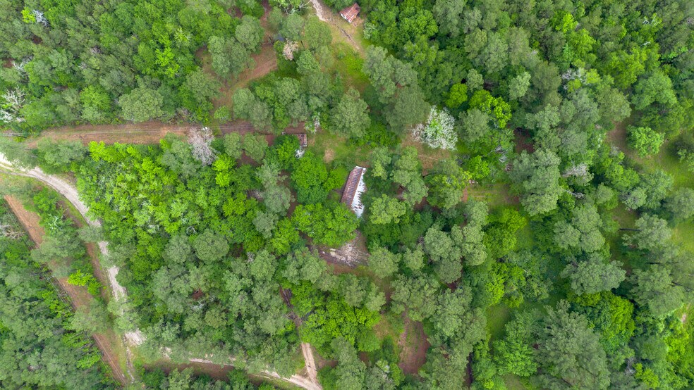 157 Fm 247 Rd, Huntsville, TX à vendre - Photo de l’immeuble – Image 3 sur 18