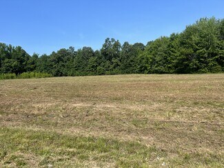 Plus de détails pour 0 Maxey, Cedar Hill, TN - Terrain à vendre